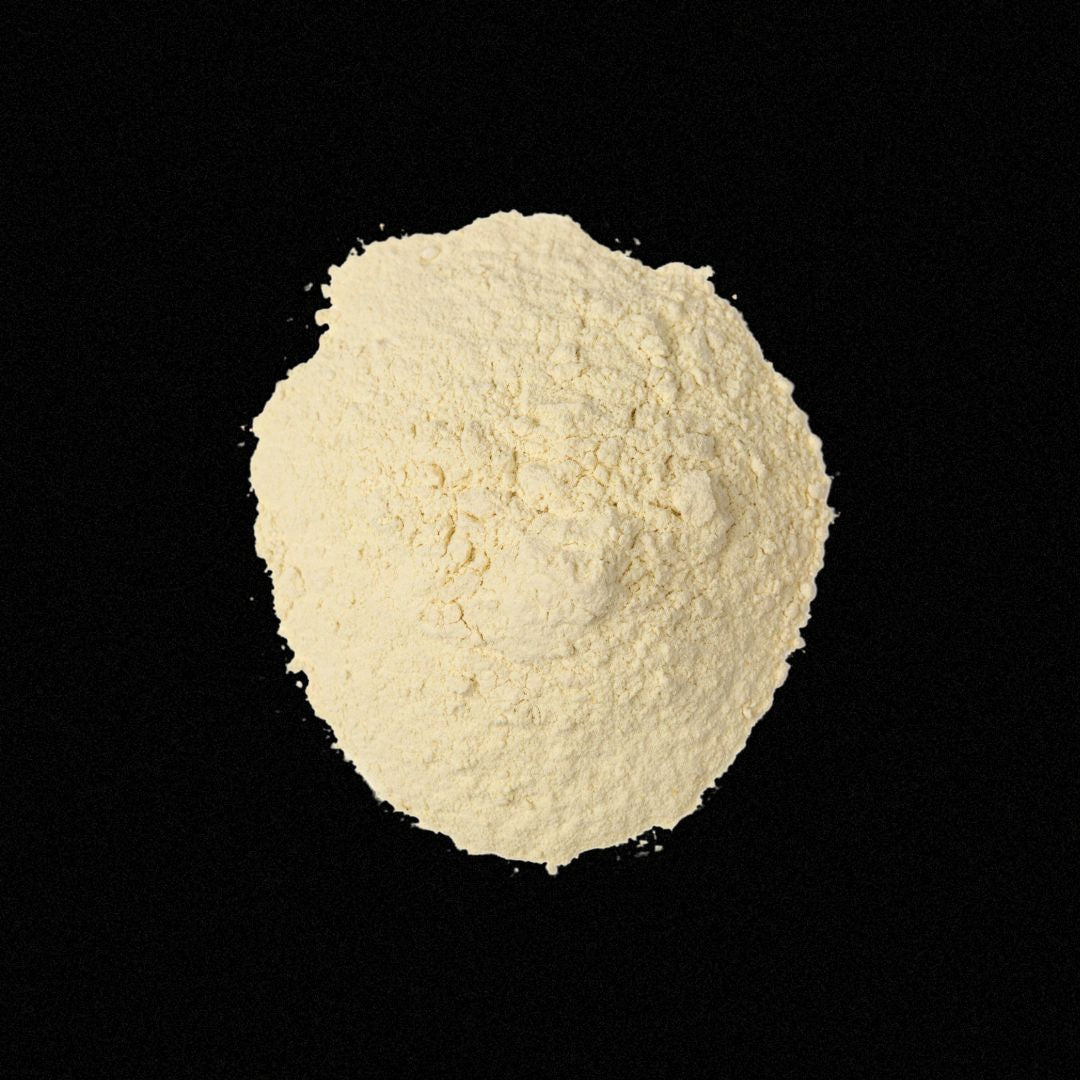 Why Should I Take Collagen?